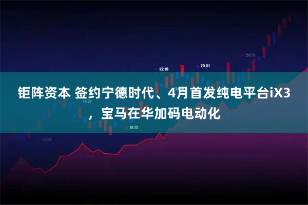 钜阵资本 签约宁德时代、4月首发纯电平台iX3，宝马在华加码电动化