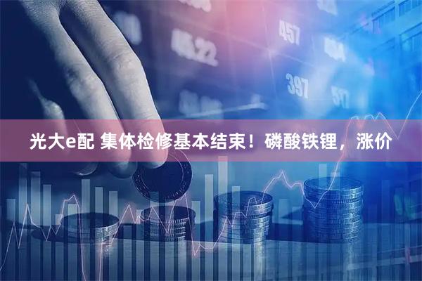 光大e配 集体检修基本结束！磷酸铁锂，涨价