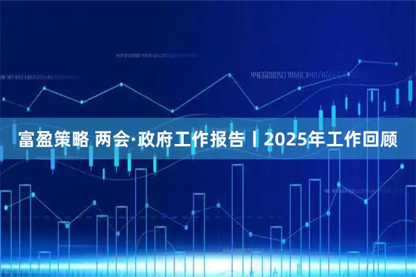 富盈策略 两会·政府工作报告丨2025年工作回顾