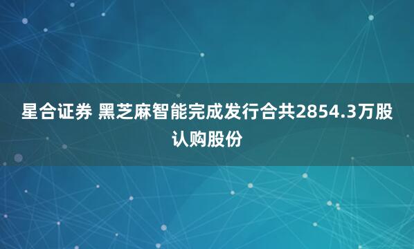 星合证券 黑芝麻智能完成发行合共2854.3万股认购股份