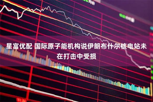 星富优配 国际原子能机构说伊朗布什尔核电站未在打击中受损