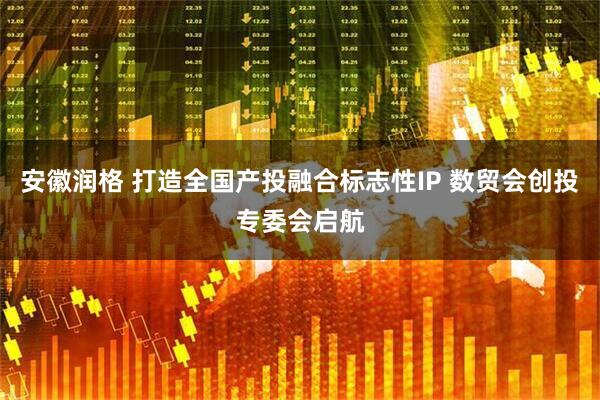 安徽润格 打造全国产投融合标志性IP 数贸会创投专委会启航