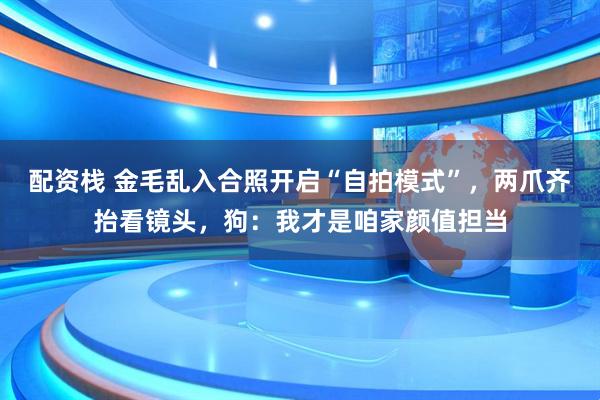 配资栈 金毛乱入合照开启“自拍模式”，两爪齐抬看镜头，狗：我才是咱家颜值担当