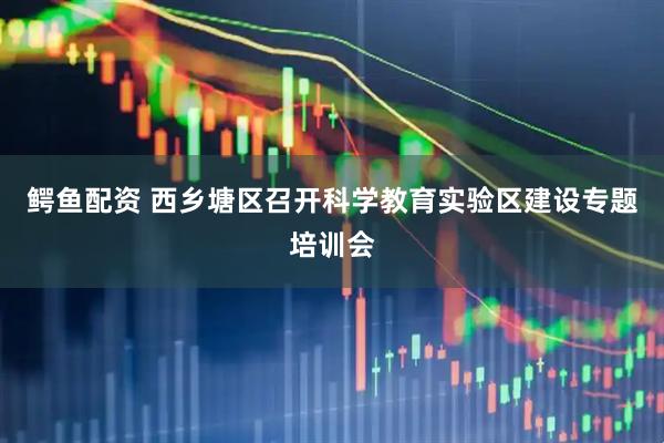 鳄鱼配资 西乡塘区召开科学教育实验区建设专题培训会