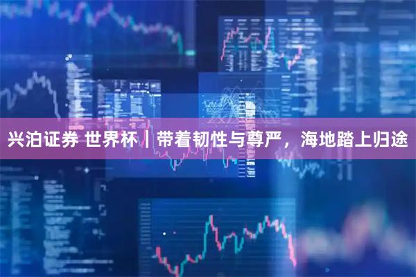兴泊证券 世界杯｜带着韧性与尊严，海地踏上归途