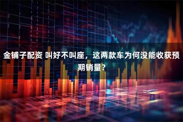 金铺子配资 叫好不叫座，这两款车为何没能收获预期销量？