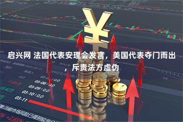 启兴网 法国代表安理会发言，美国代表夺门而出，斥责法方虚伪