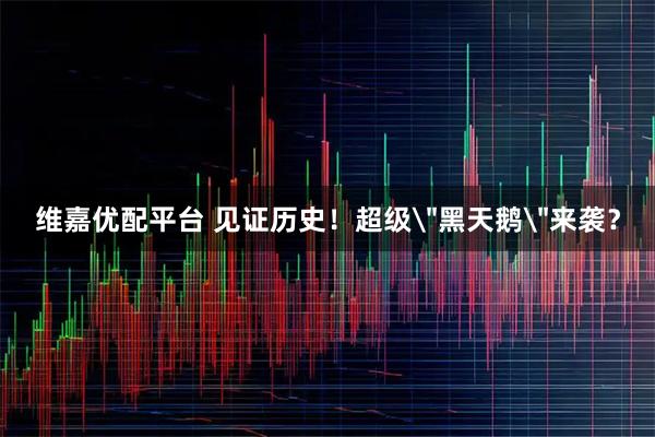 维嘉优配平台 见证历史！超级
