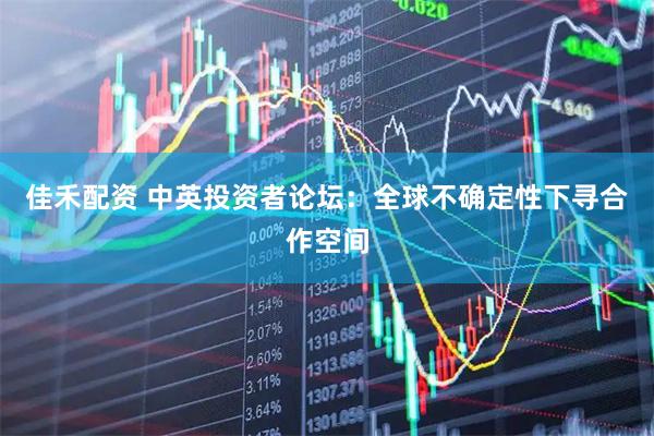 佳禾配资 中英投资者论坛：全球不确定性下寻合作空间