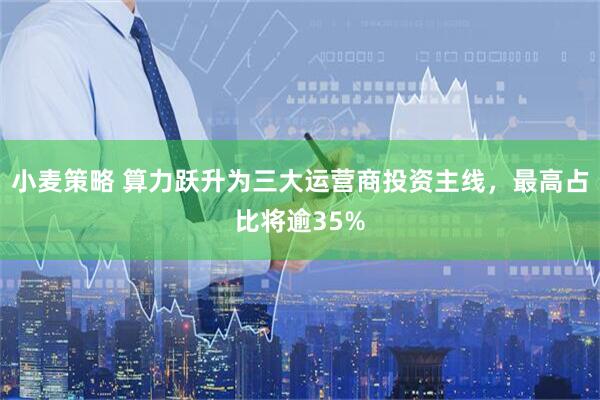 小麦策略 算力跃升为三大运营商投资主线，最高占比将逾35%