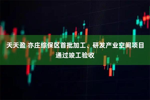 天天盈 亦庄综保区首批加工、研发产业空间项目通过竣工验收
