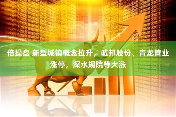 倍操盘 新型城镇概念拉升,诚邦股份、青龙管业涨停,深水规院等大涨