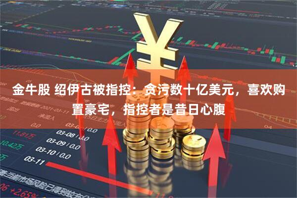 金牛股 绍伊古被指控：贪污数十亿美元，喜欢购置豪宅，指控者是昔日心腹