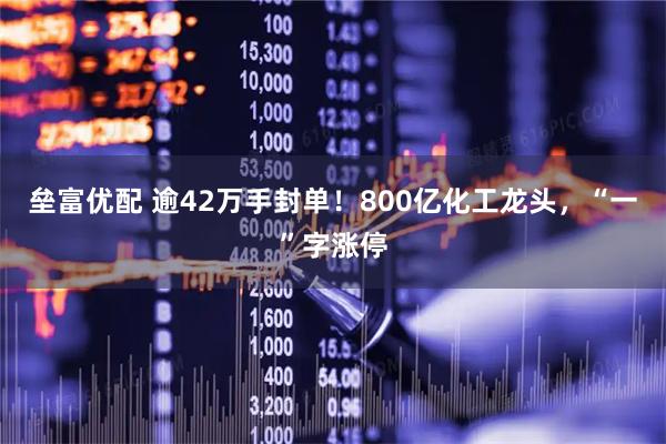 垒富优配 逾42万手封单！800亿化工龙头，“一”字涨停