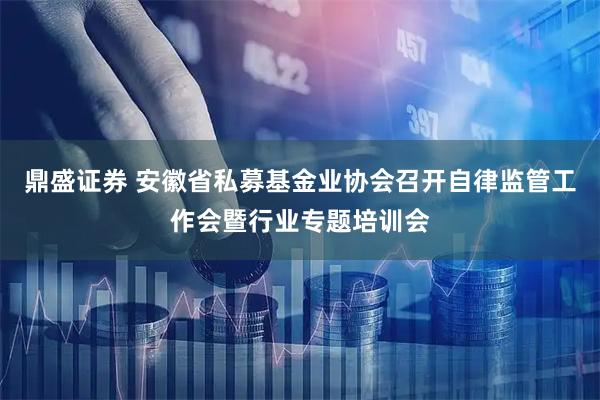 鼎盛证券 安徽省私募基金业协会召开自律监管工作会暨行业专题培训会