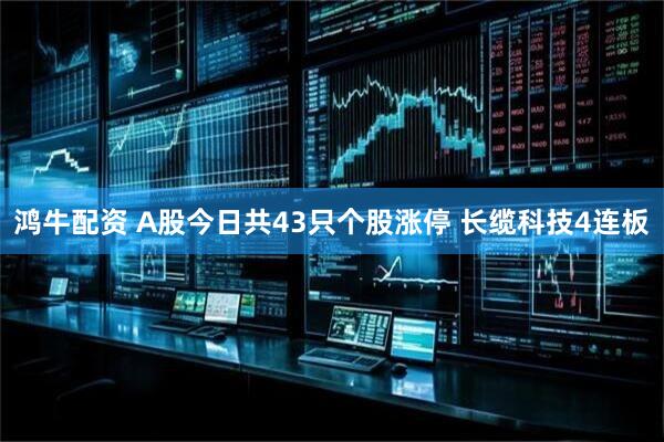 鸿牛配资 A股今日共43只个股涨停 长缆科技4连板