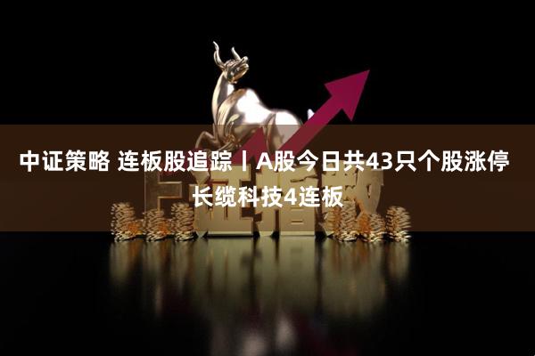 中证策略 连板股追踪丨A股今日共43只个股涨停 长缆科技4连板